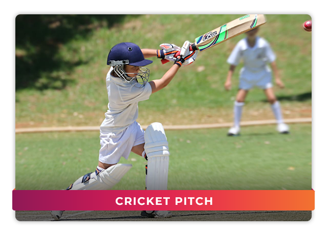 Cricket pitch